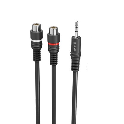 Y-AX07 3.5mm Stereo Jack to 2 RCA Audio Cable 0.1M Black